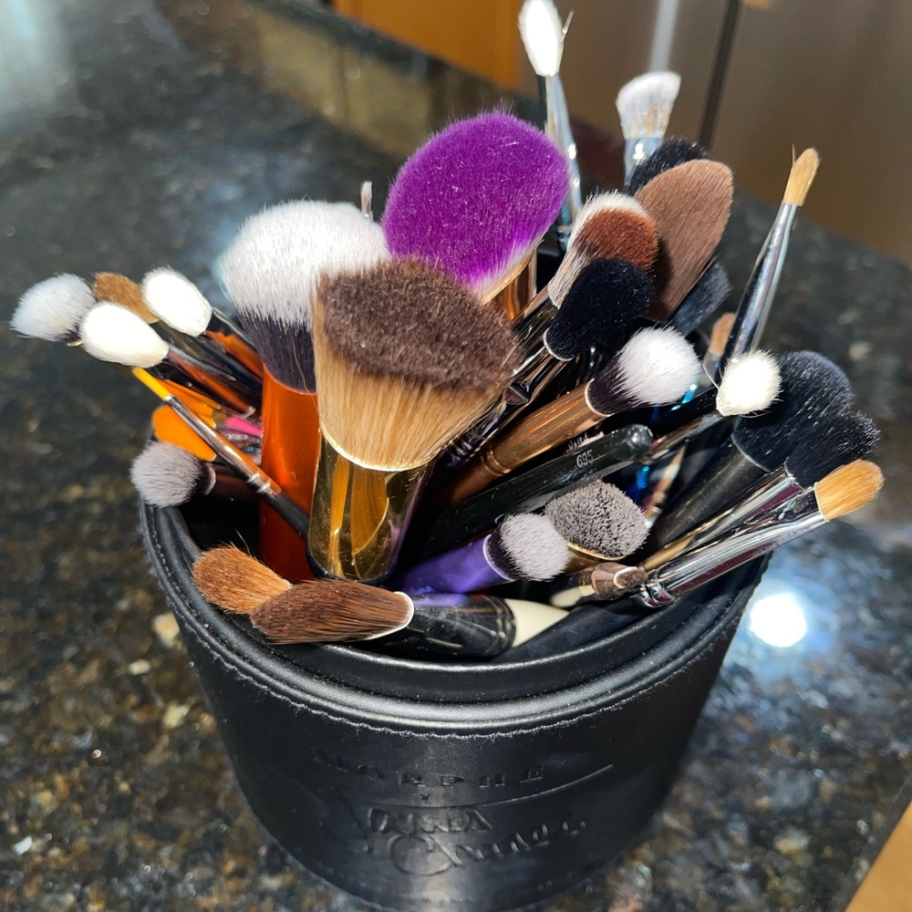 Professional Makeup Brush Set